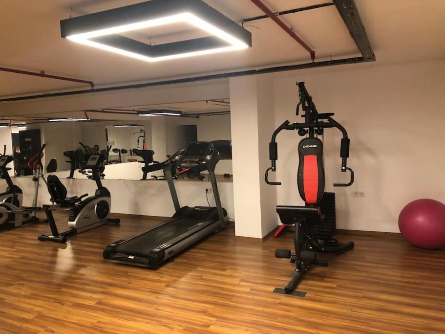 Appartamento Furnished For Rent *